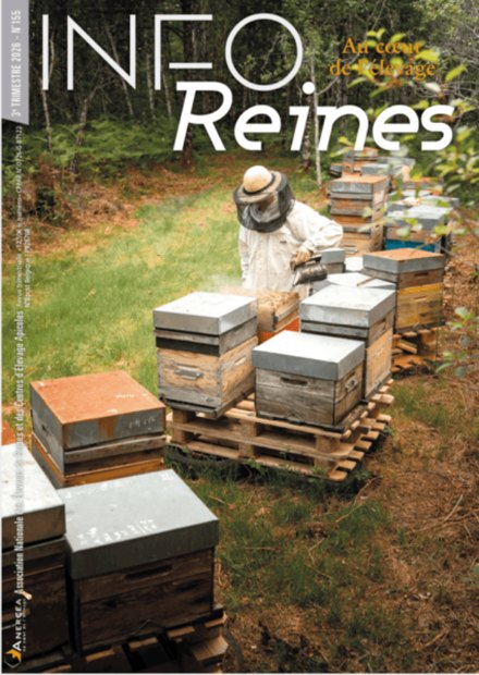 Couverture d'Info-Reines n° 155, 3e trimestre 2026