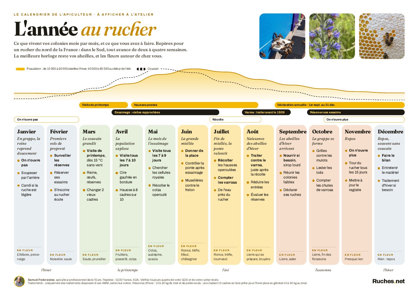 Le calendrier de l'apiculteur à imprimer, en A3